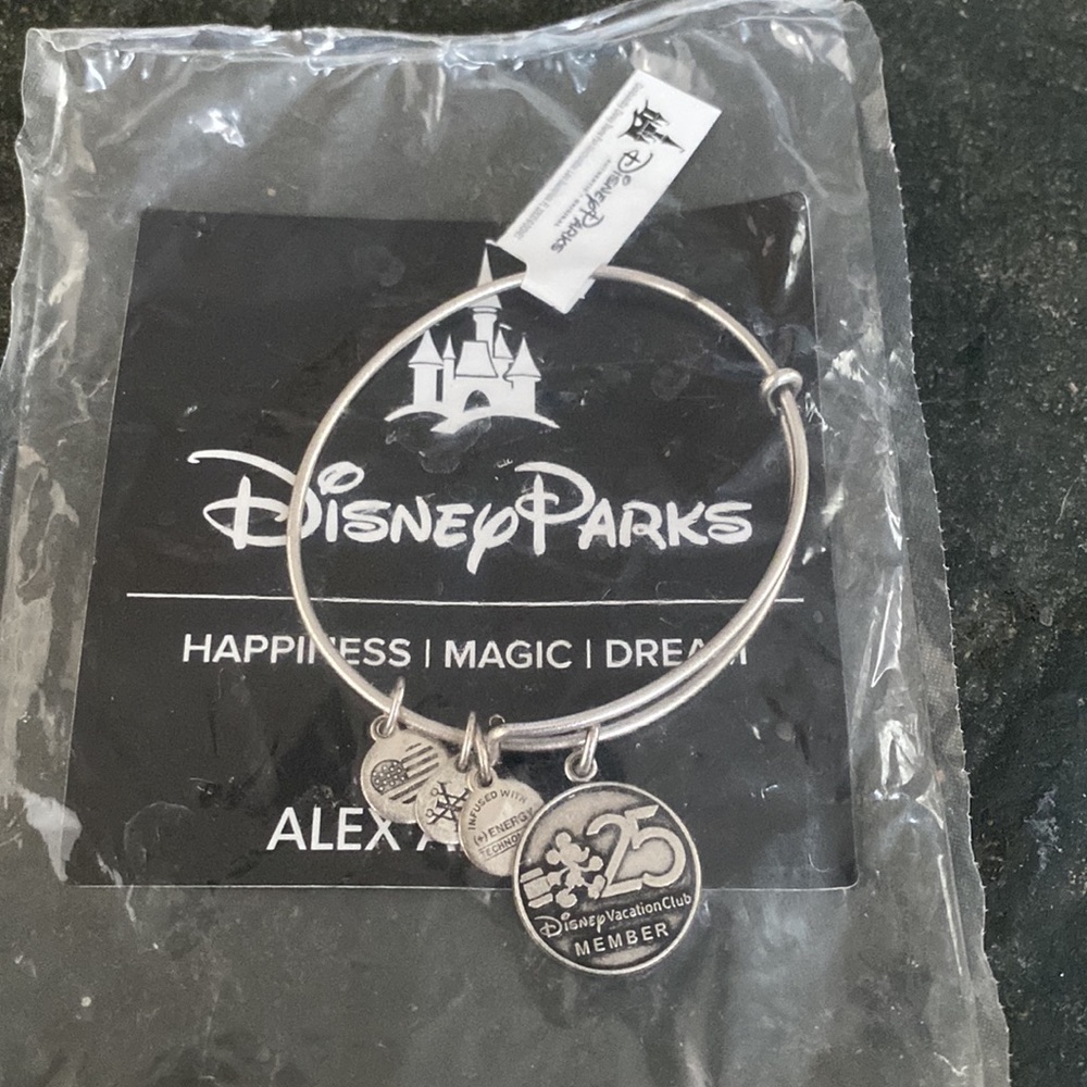 Alex and Ani DVC 25th Anniversary Silver Bracelet